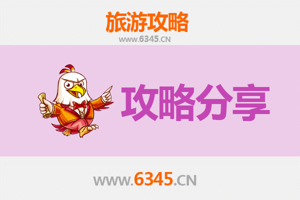 定西通渭旅游攻略：跟团与自由行全方位对比